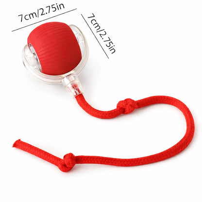 Smart Interactive Rolling Ball Toy for Cats
