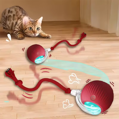 Smart Interactive Rolling Ball Toy for Cats