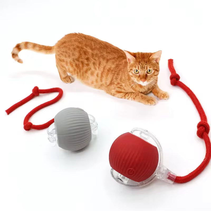 Smart Interactive Rolling Ball Toy for Cats
