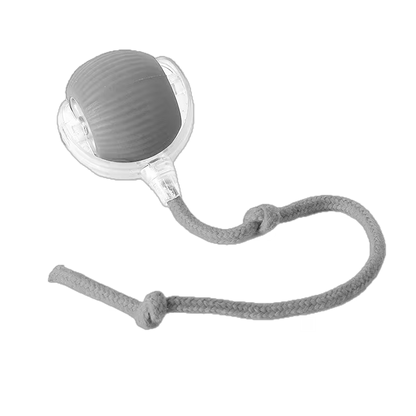 Smart Interactive Rolling Ball Toy for Cats